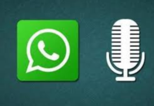 265584Transcribir audio a texto.