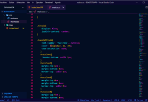 265583Desarrollo y diseño de Página Web