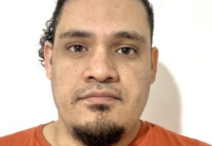 361336Desarrollador C#/ASP .Net