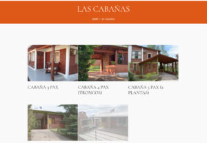 501651Desarrollo y diseño de sitios y portales web, Tiendas Online. Generador de contenidos.