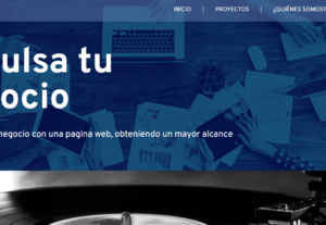 528384Desarrollo de paginas web