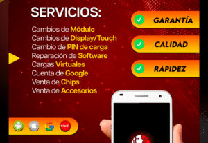 542339Diseño de Flyers (para emprendedores)